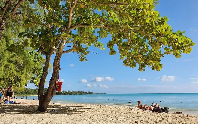 sightseeing-north-tour15