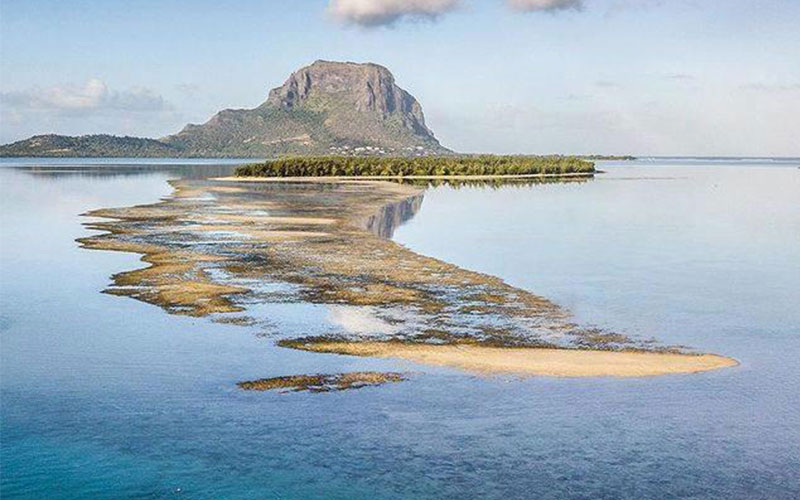 ile-aux-benitiers2